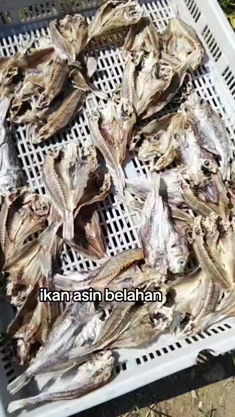 @hambah allah