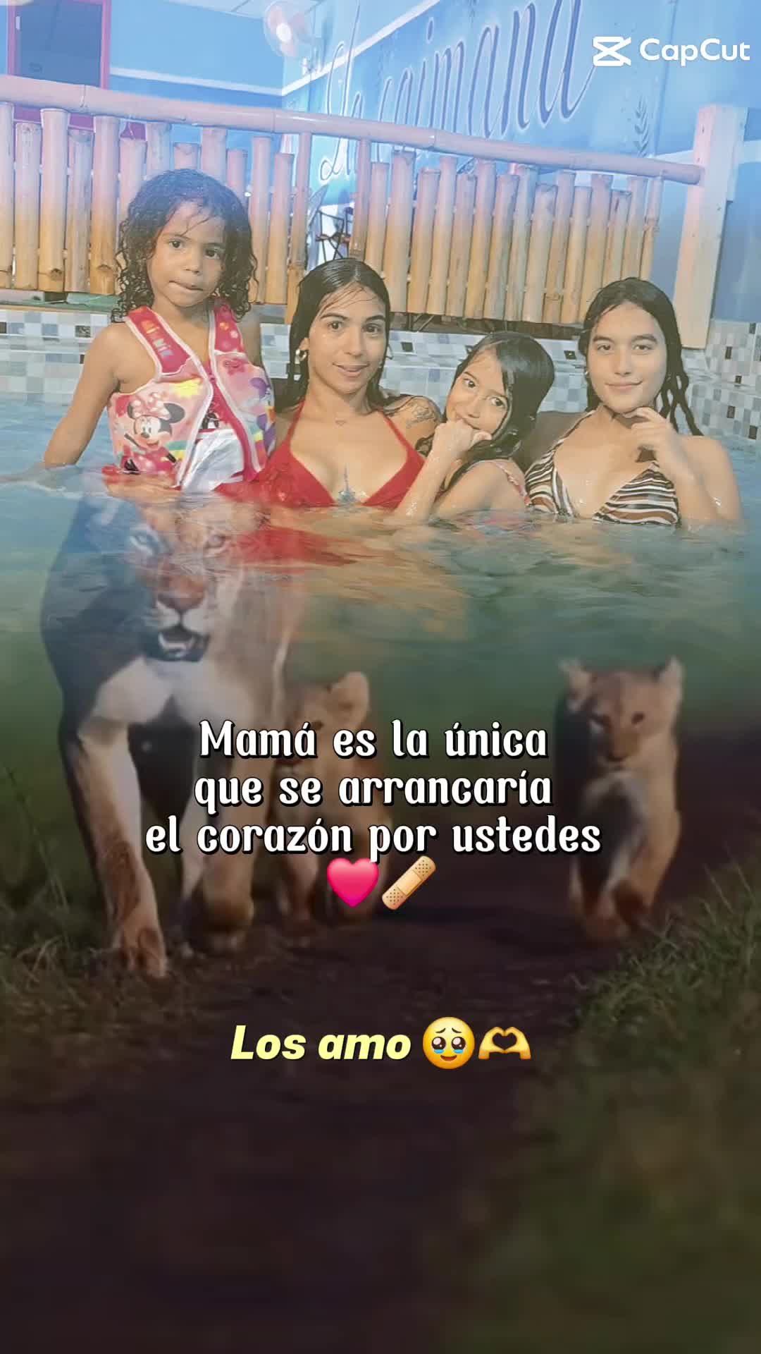 @🌹Tita🇨🇺🍭🇺🇸