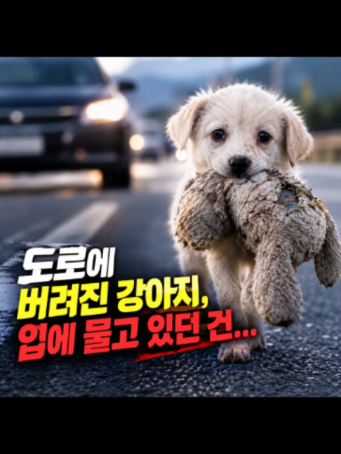 @친구뉴스