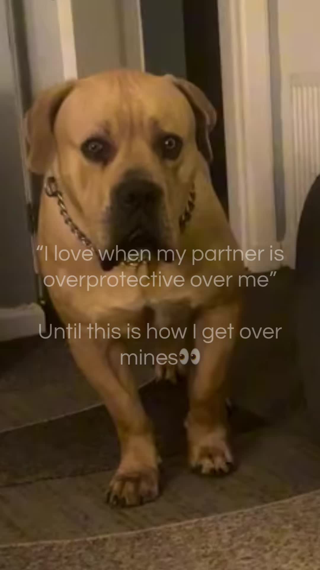 @mimi🐾