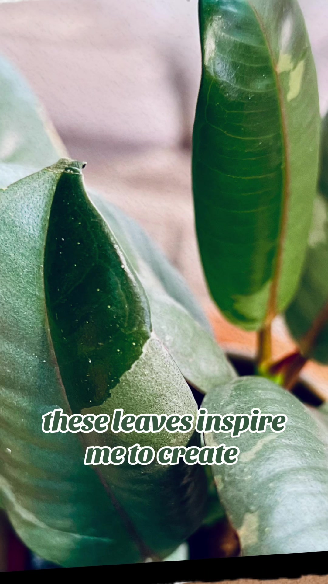 @The_Chlorophylliac