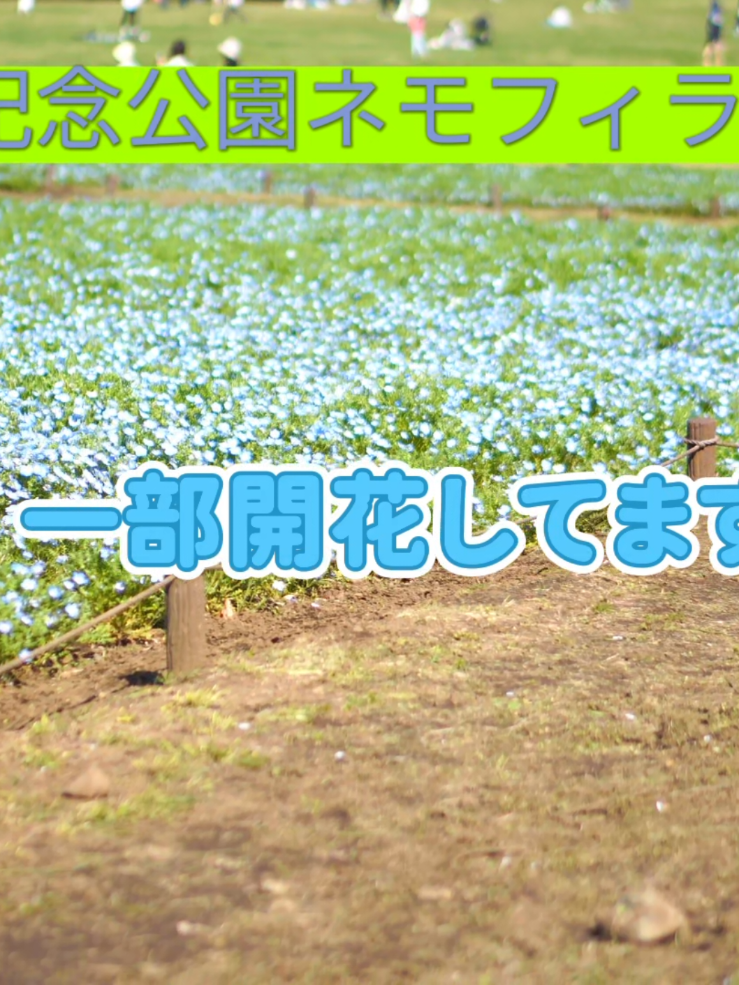 @とも 思い出カメラマン 写真お渡しします