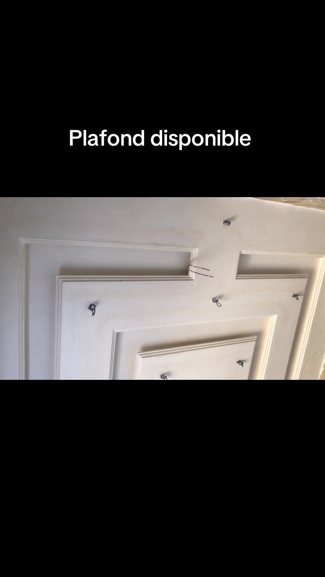 @Plafond 241✪🦺