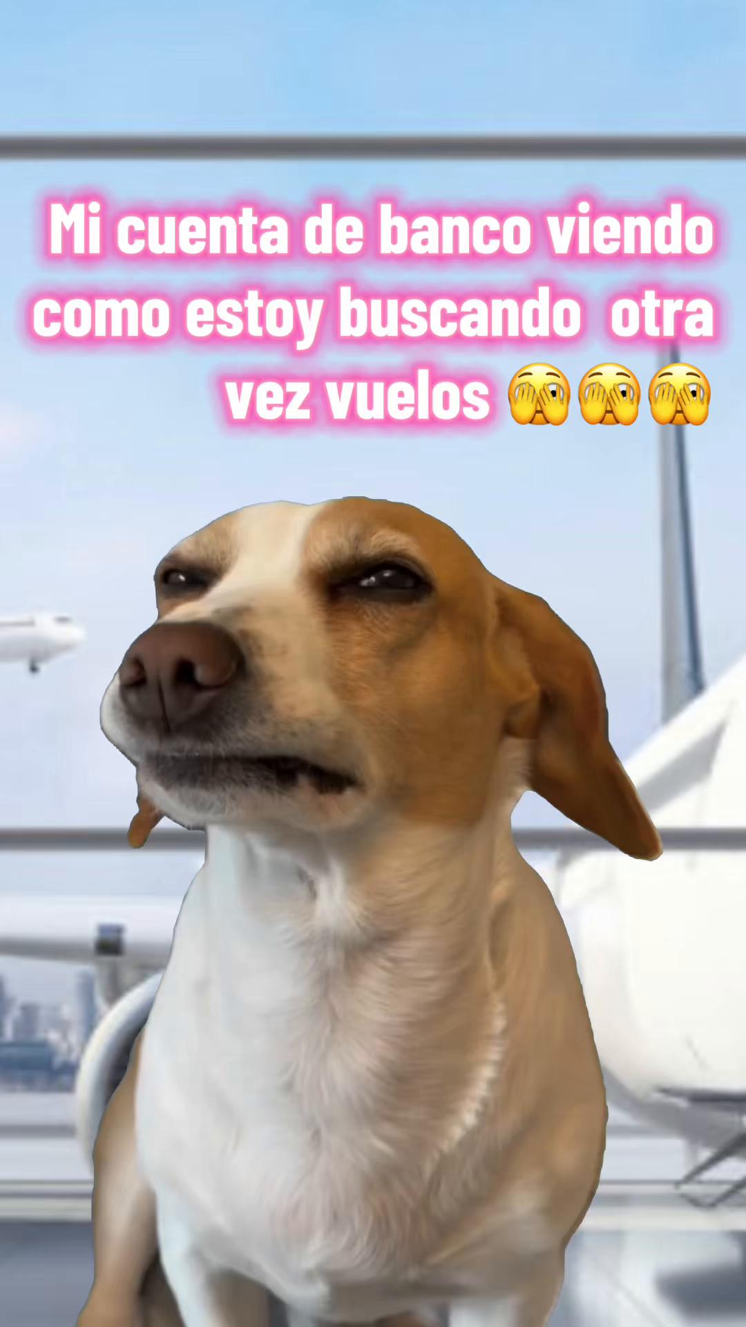 @Annabel Cancino