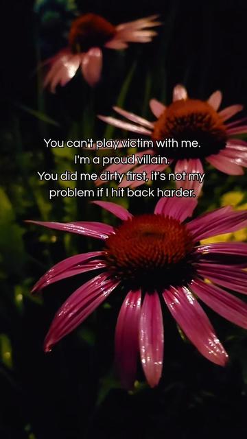 @ᴏꜰ ᴛʜᴇ ɴᴏʀᴛʜ 🌻✨️