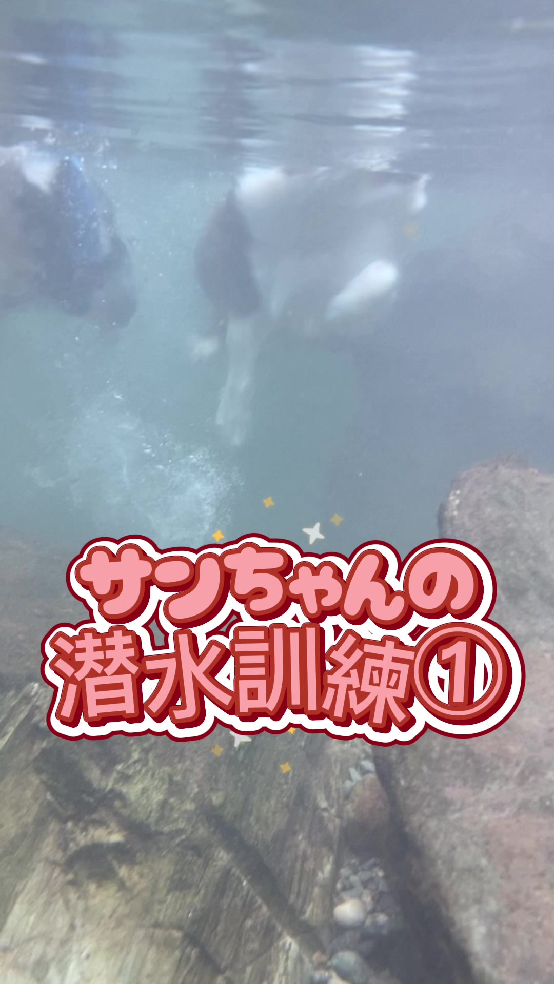 @サン&タマ