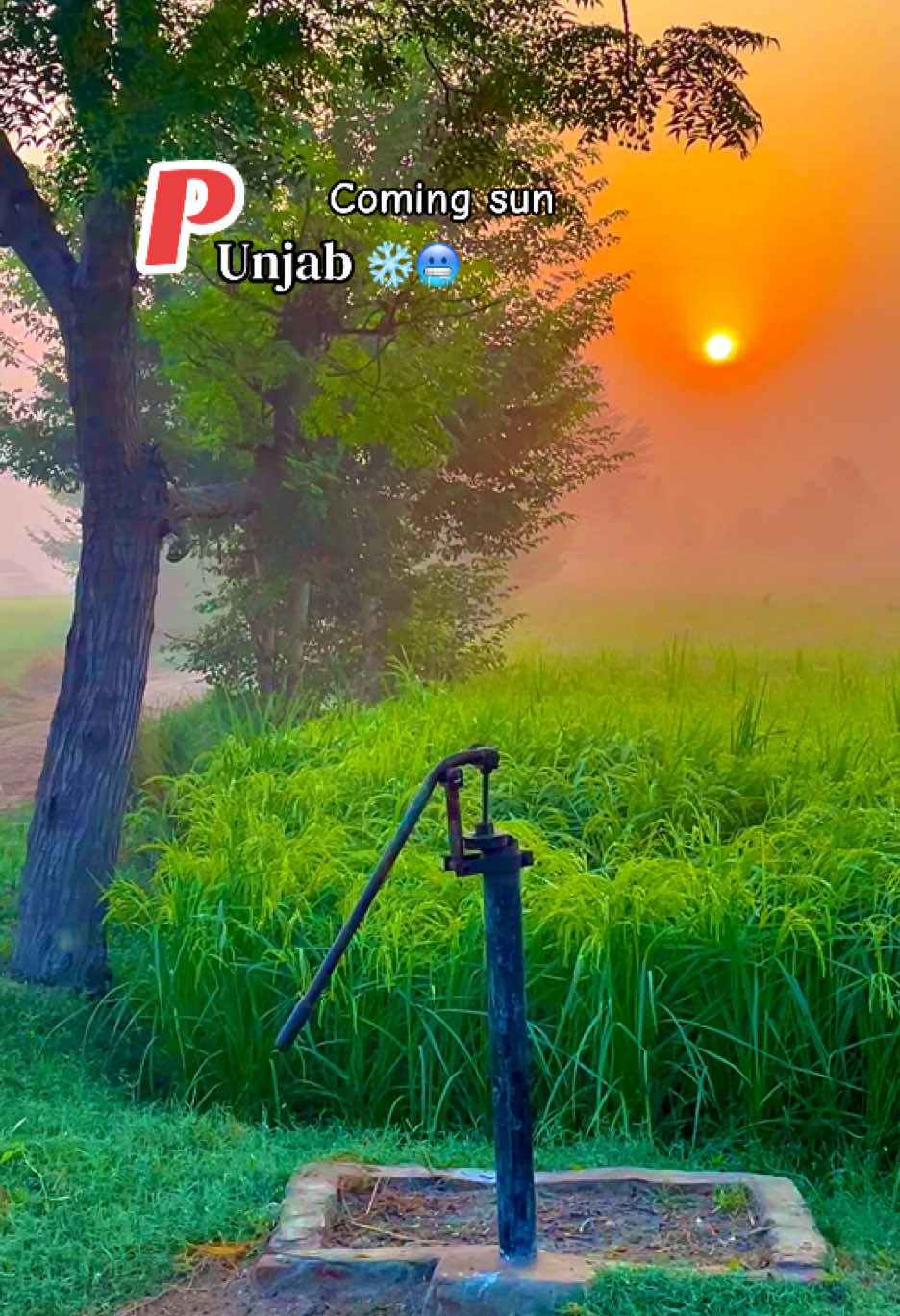 @😎اویس راجپوت🕊️❤️&zwj;🔥