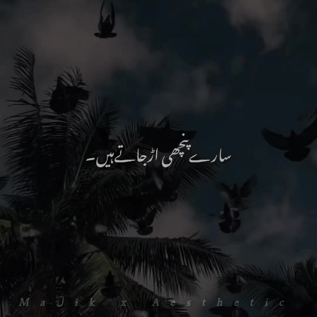 @𝑴𝑨𝑳𝑰𝑲 𝑨𝑬𝑺𝑻𝑰𝑿🎧