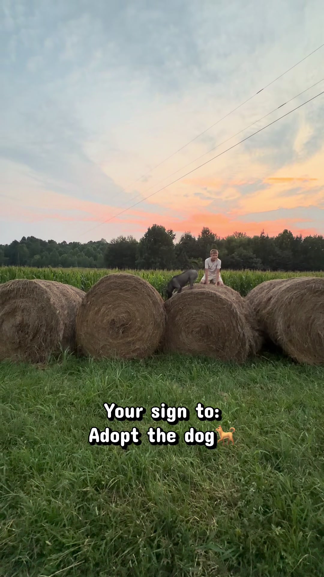 @Ally | Farm Wife