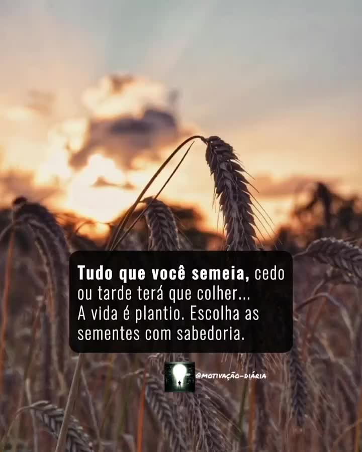 @Motivação_Diária