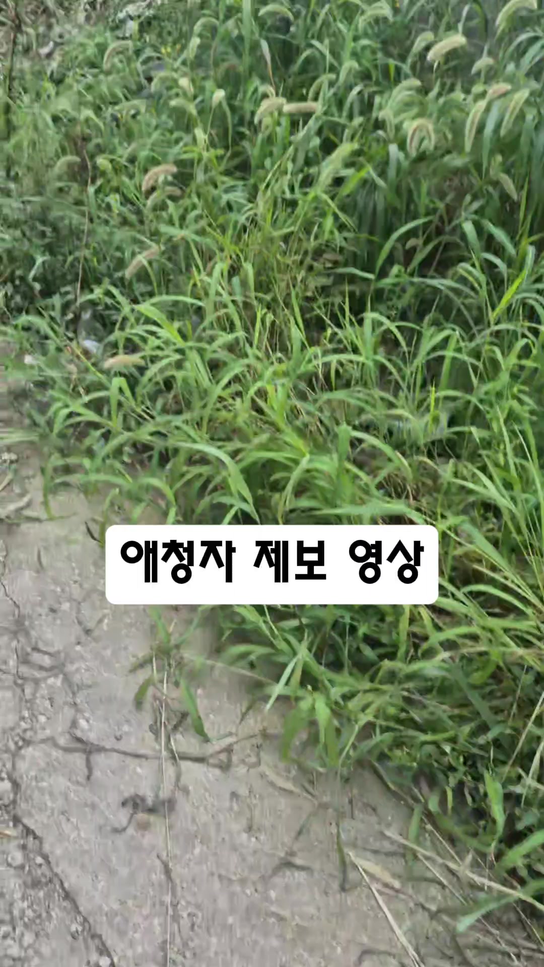 @하필유필