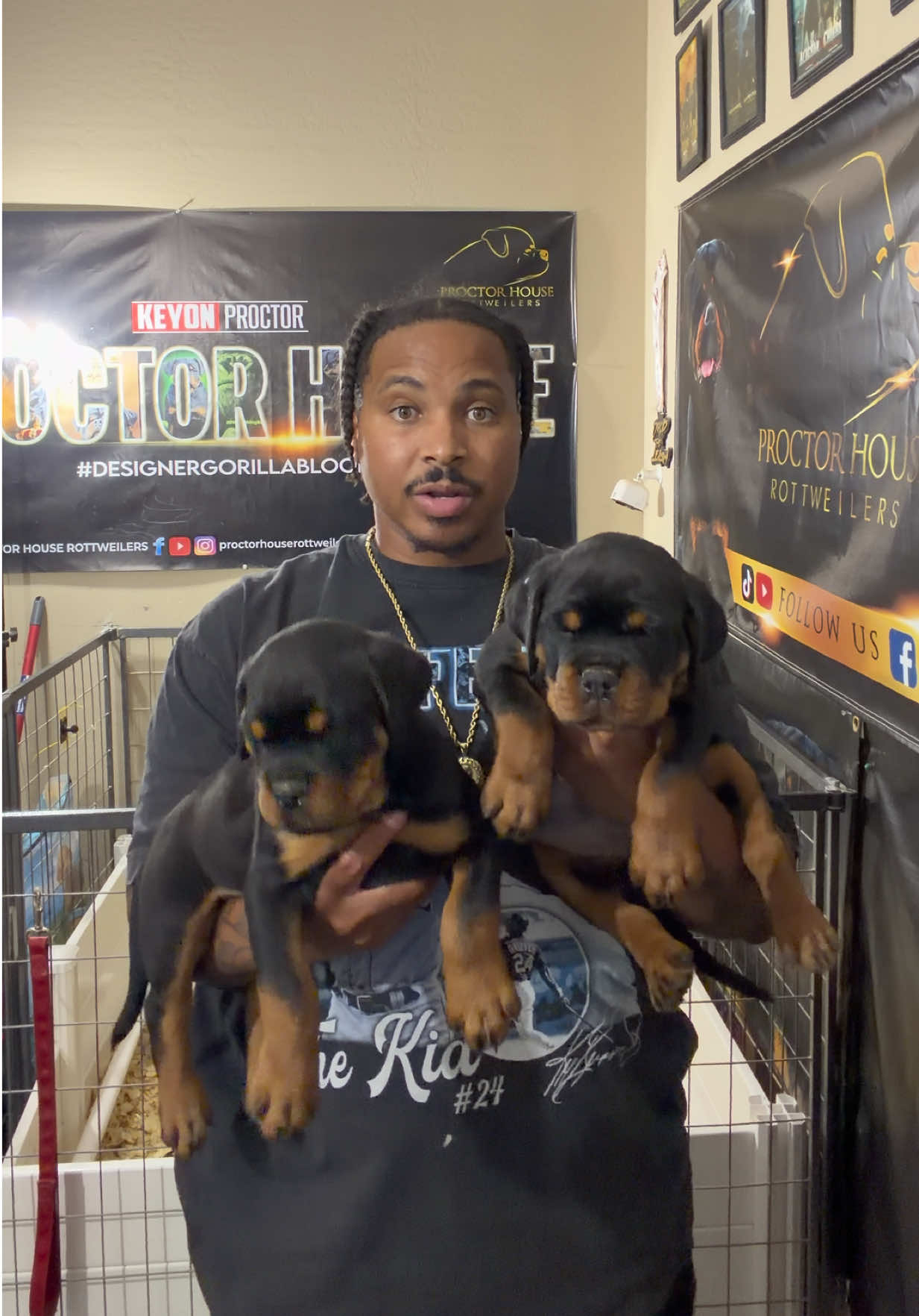 @Proctor House Rottweilers