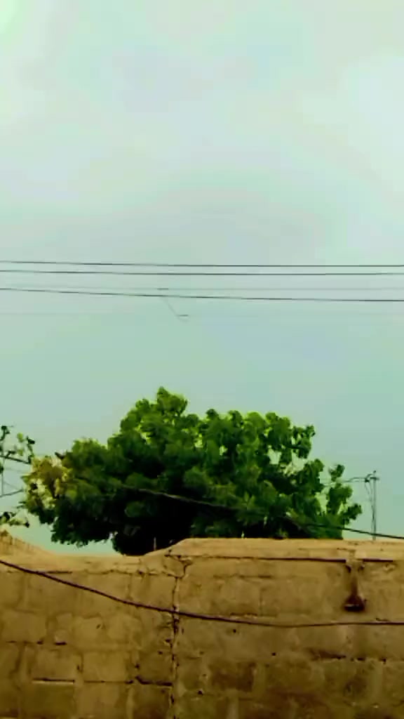@🥷 معشوق ✌ لاشاري 🥷