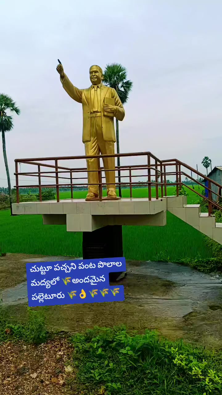 @rajupraju481