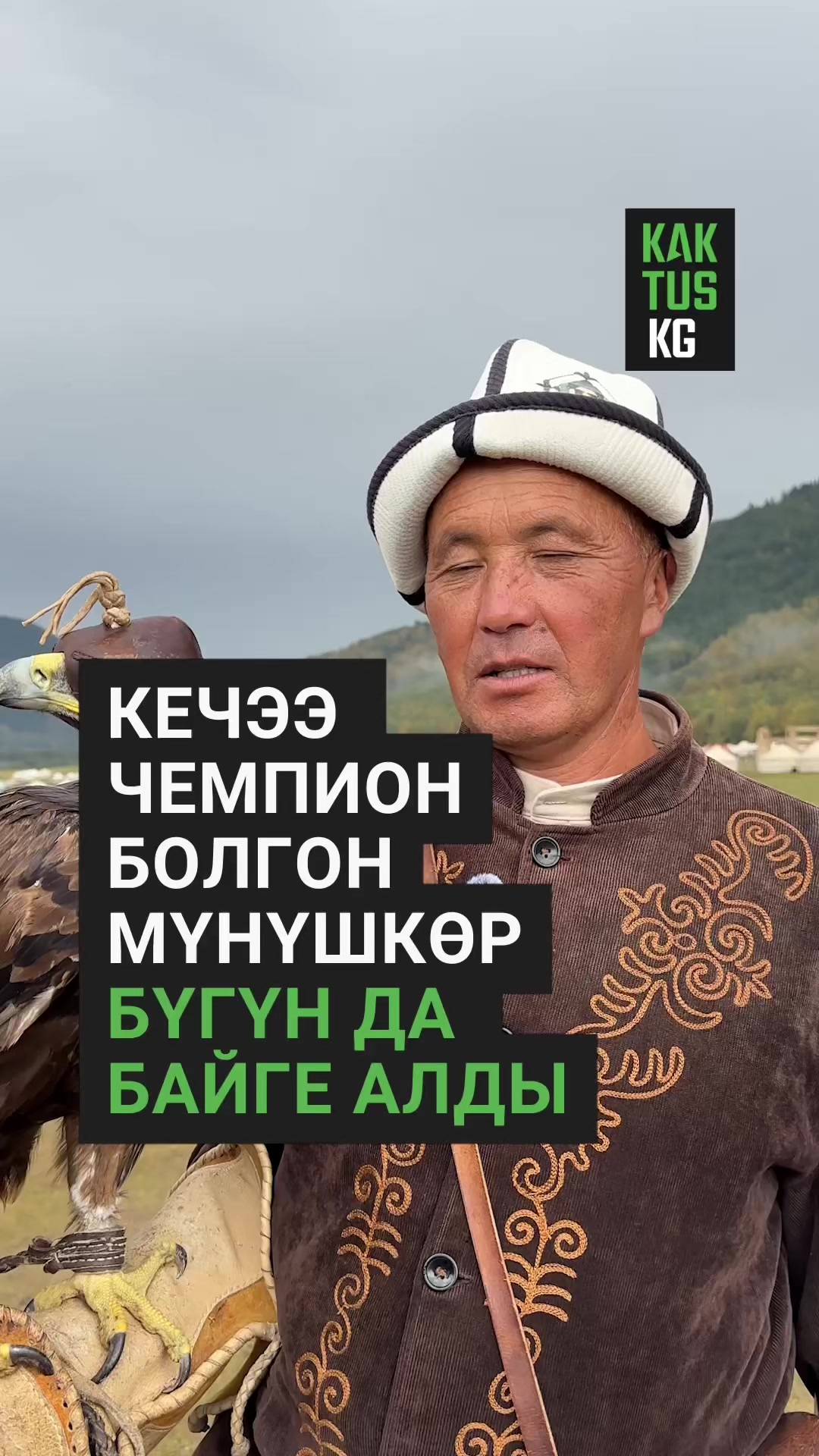 @Kaktus KG