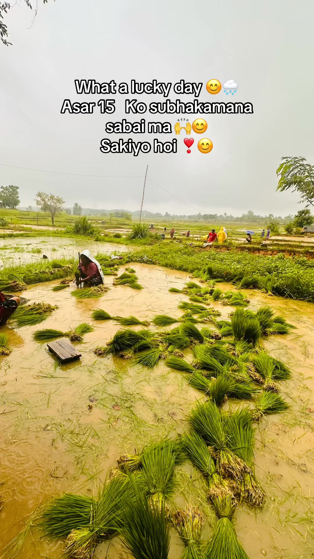 @deeprajrasaily