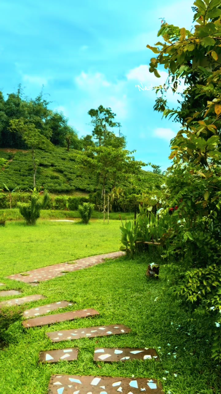 @akhiakter0016