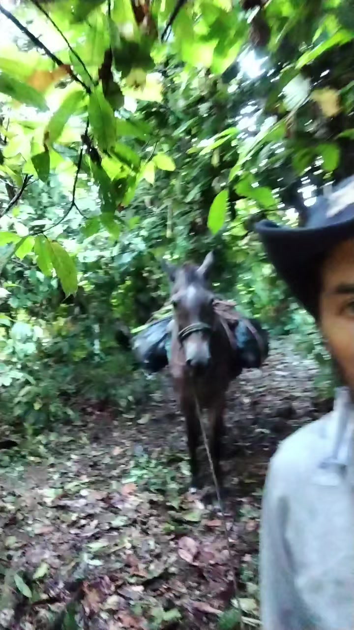 @PONYROJAS