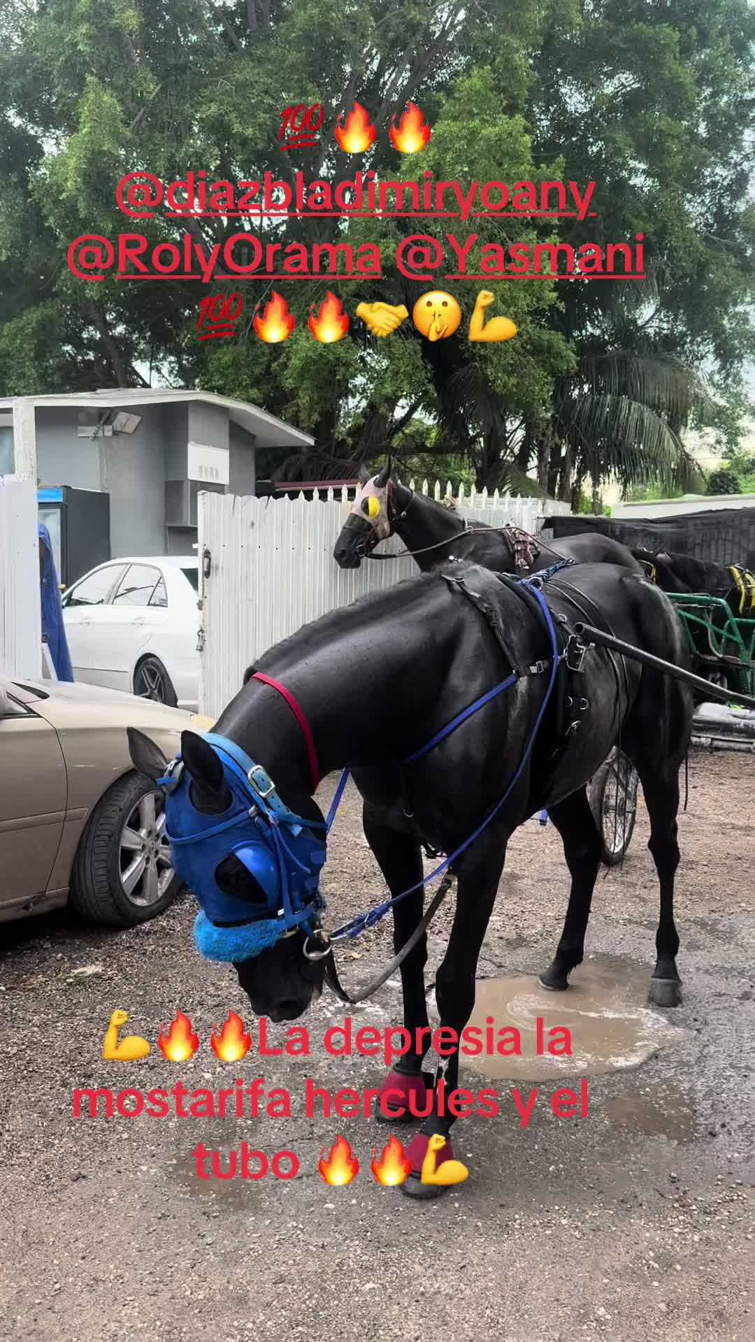 @🔥🔥❤️EL FEO ❤️🔥🔥