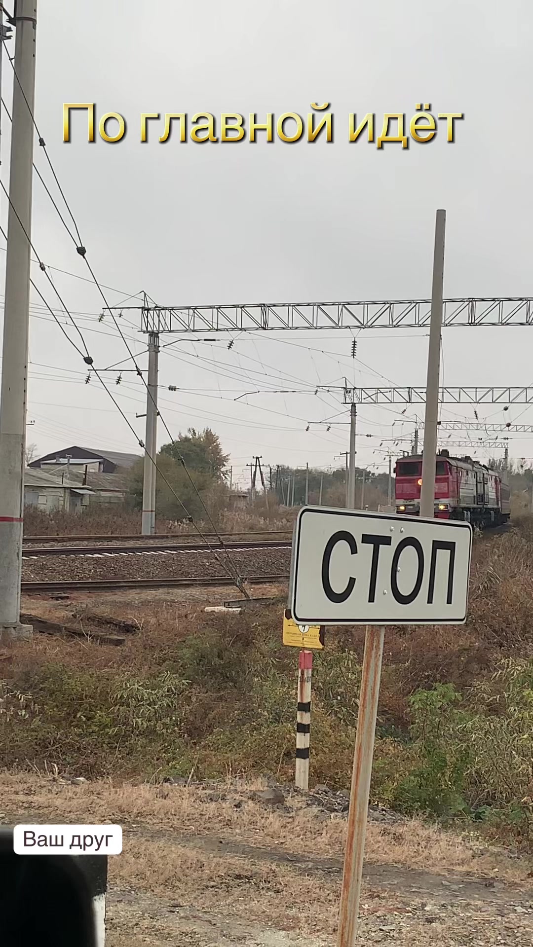 @Сергеевич_209