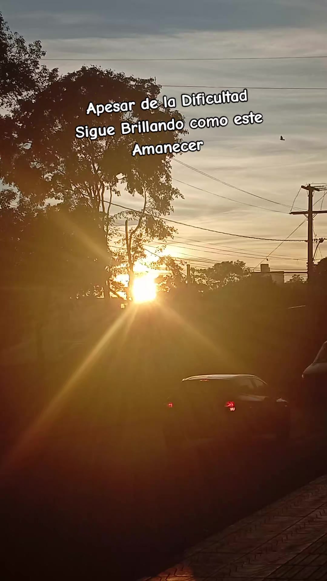 @🐦&zwj;🔥FRANCYSCO🐦&zwj;🔥