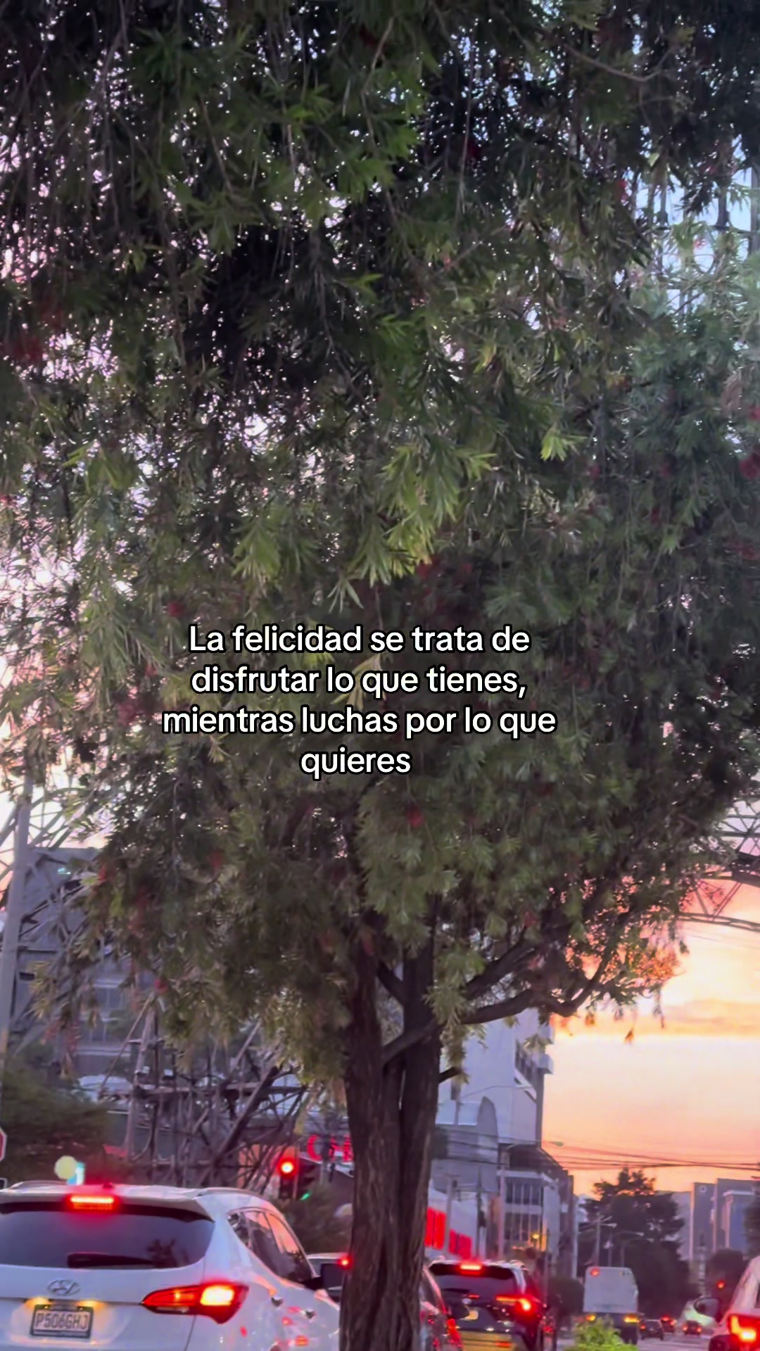 @🪫🪐JulioGt502_.🧃