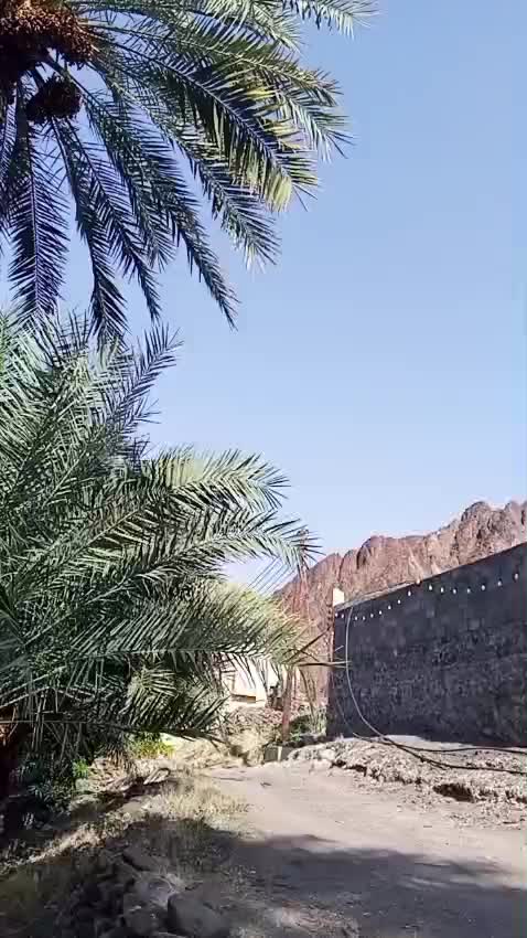@omar farooq 9915