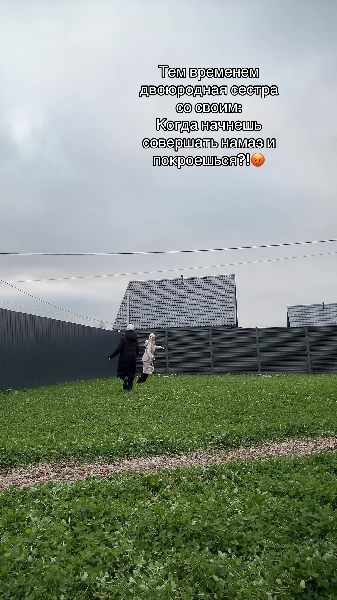 @Совушка Дриви🦉