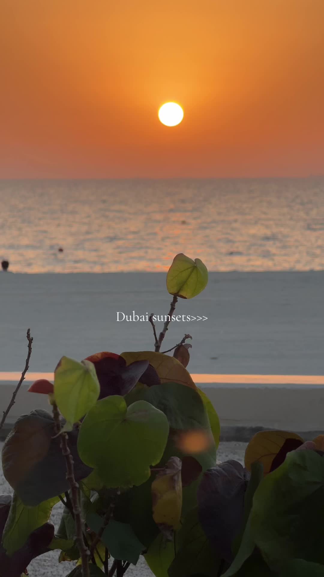 @Aneesa 🇱🇰🇦🇪