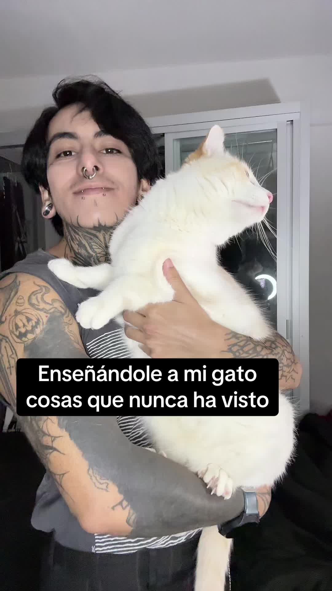 @Oli Overkill