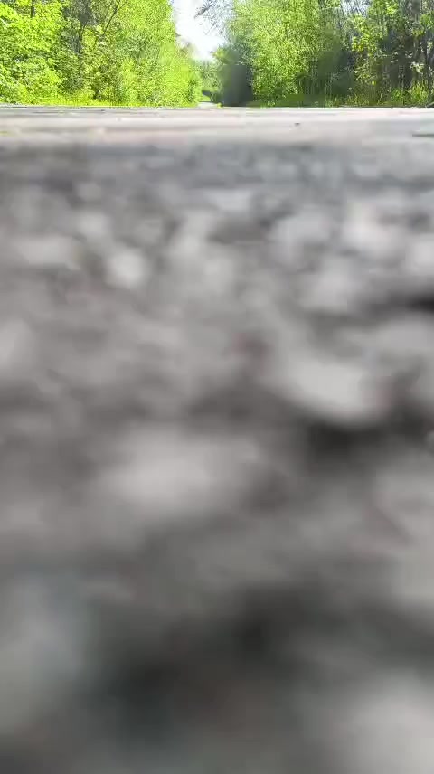 @Елена Фомина