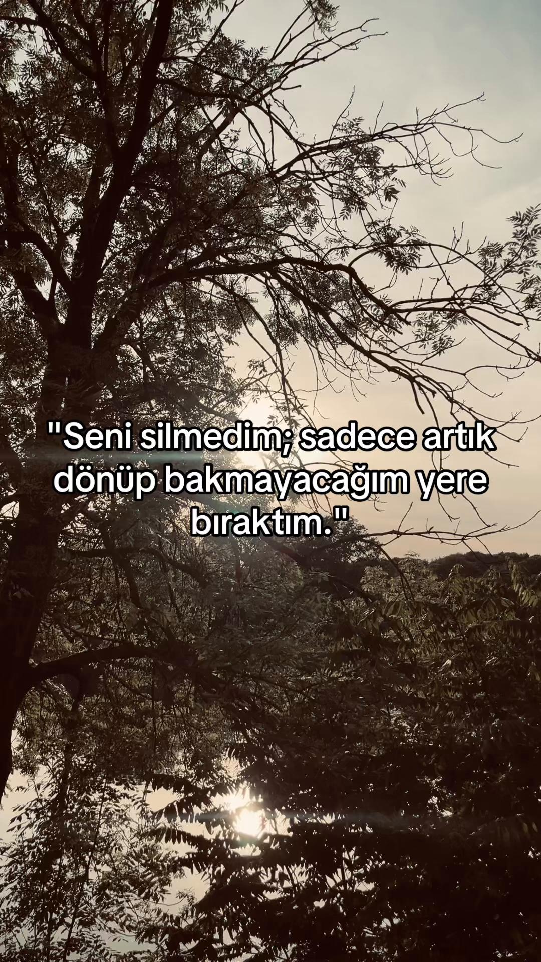 @73_storyy
