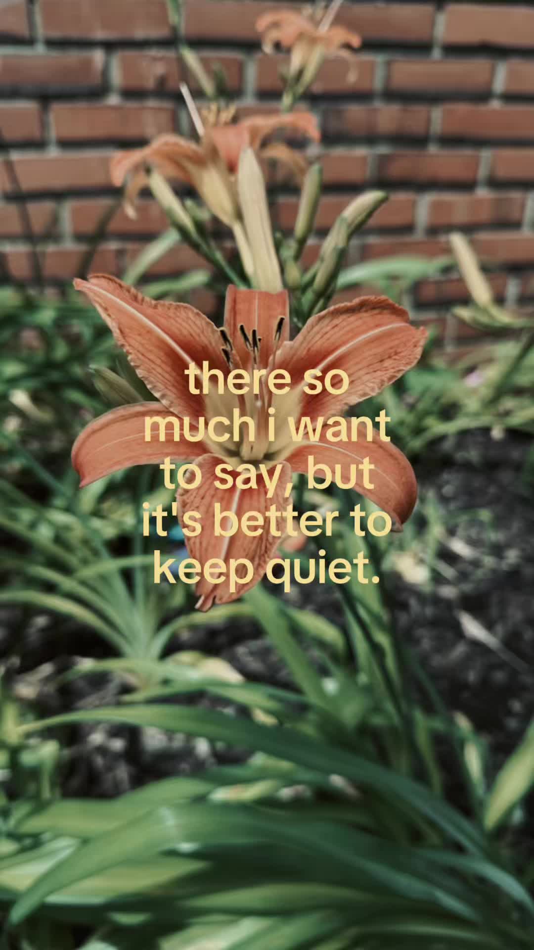 @༒