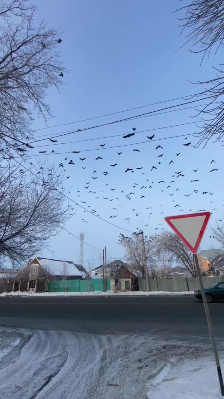 @Уральск Интересно