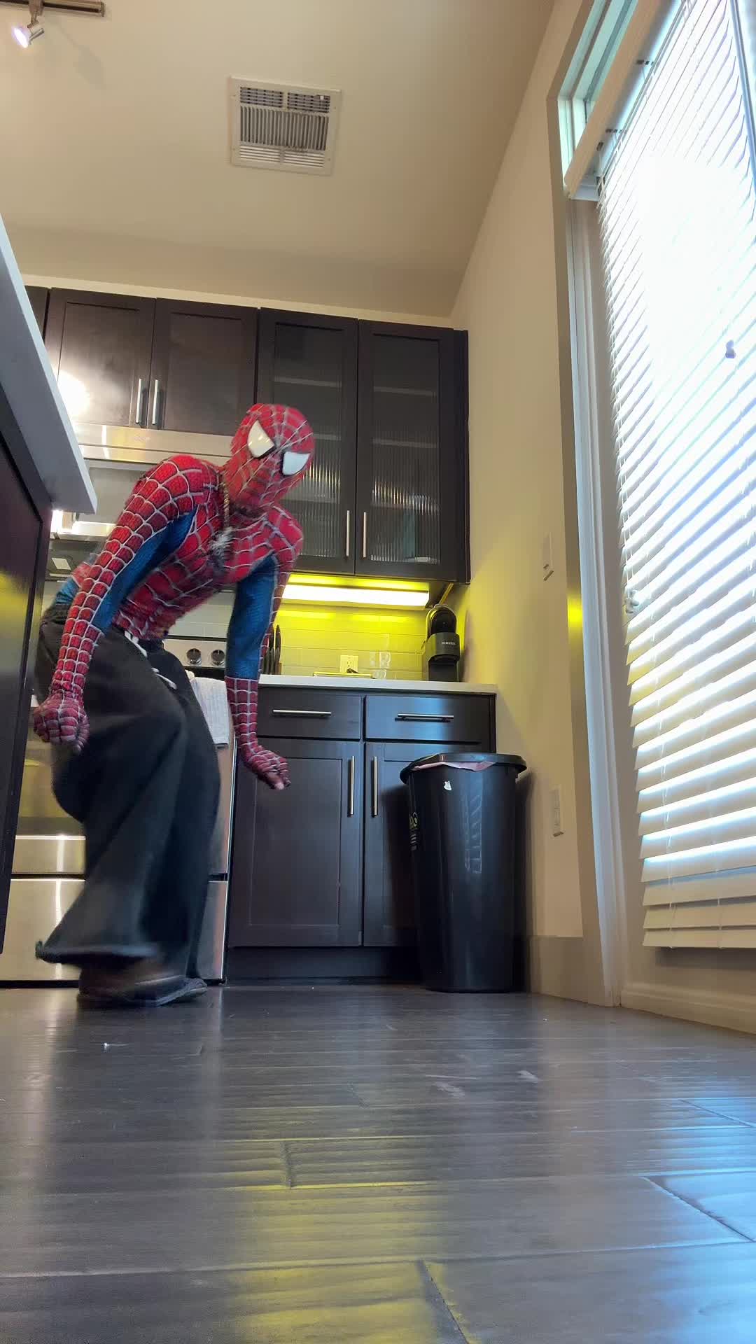 @SPIDA 🕸️