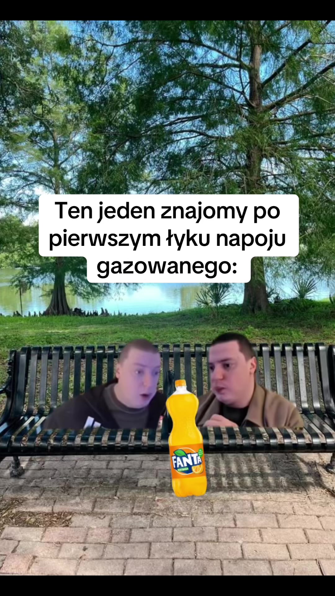 @padiberton