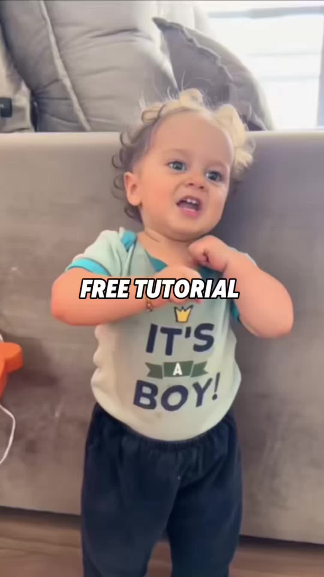 @Meowstardaily