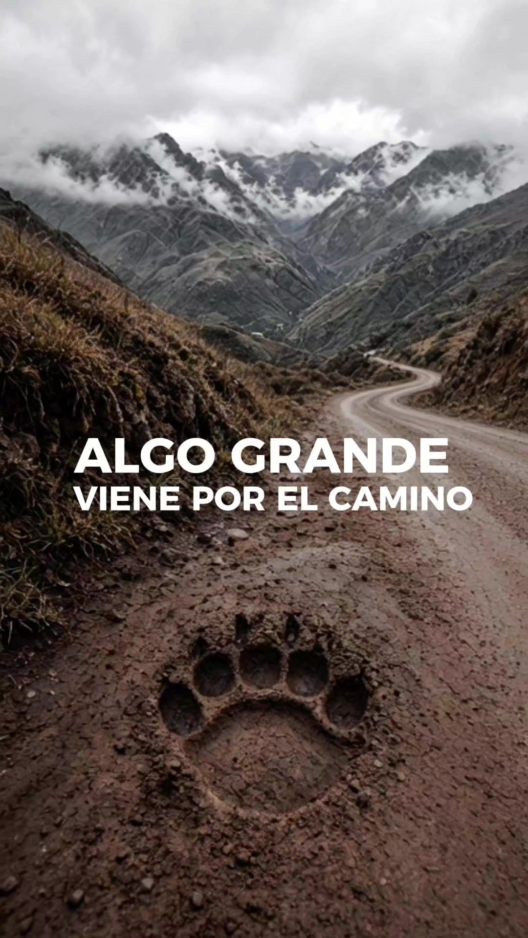 @Sec.Desarrollo.Humano.Tarija