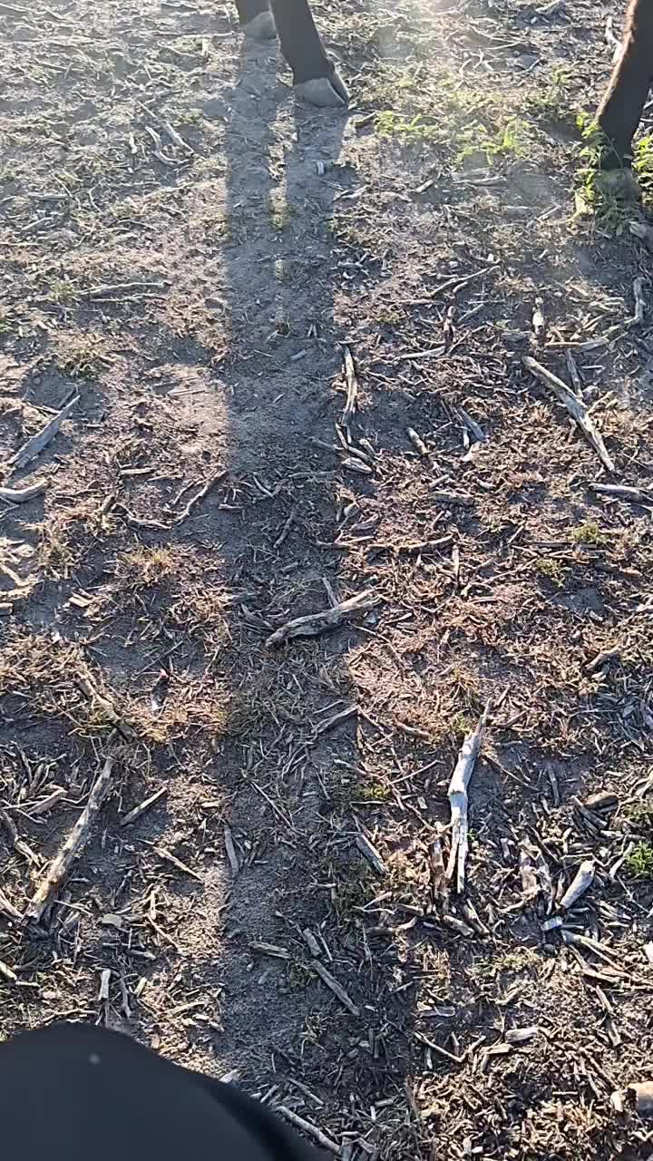 @mousie3362
