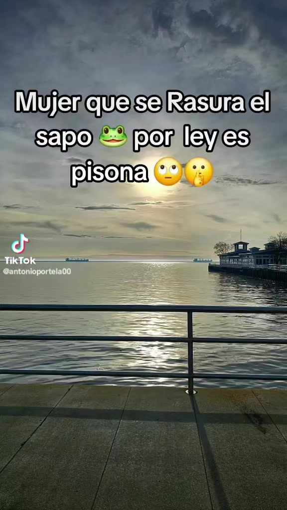 @Manuel Duarte268