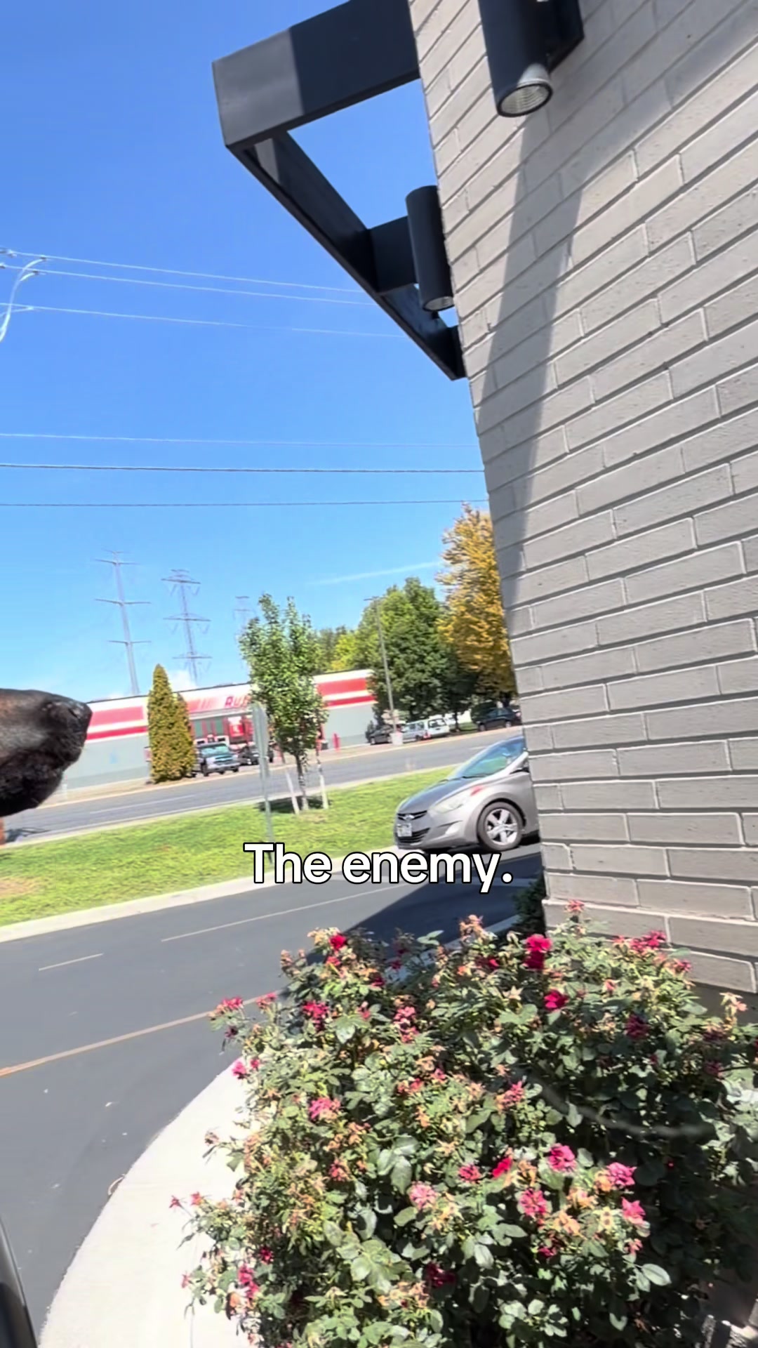 @Rory The Not-Working GSD