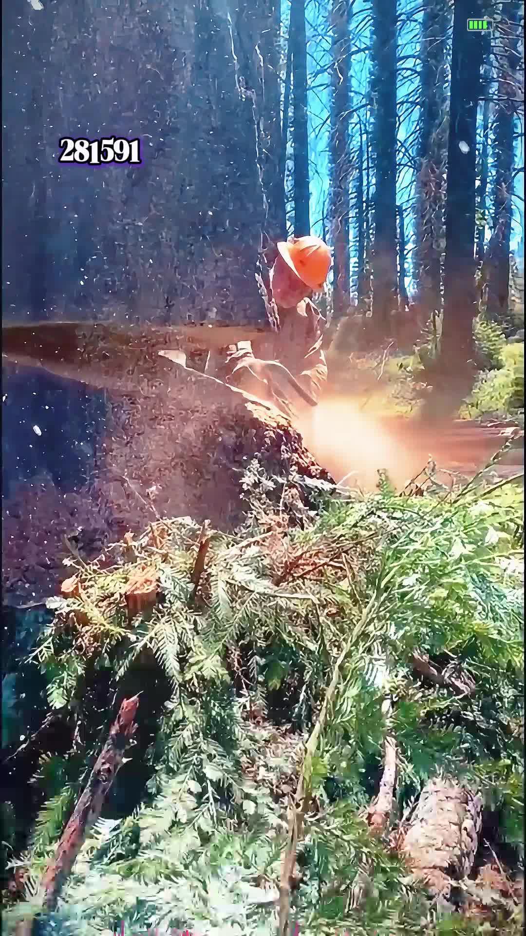 @stories.gary59