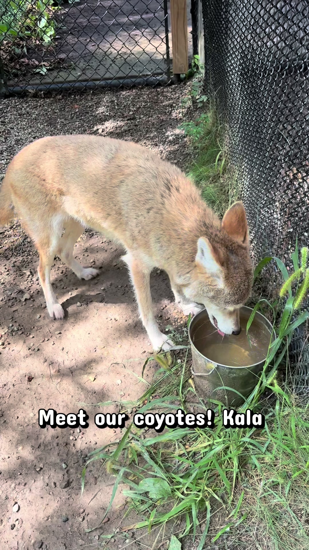 @HowellNatureCenter