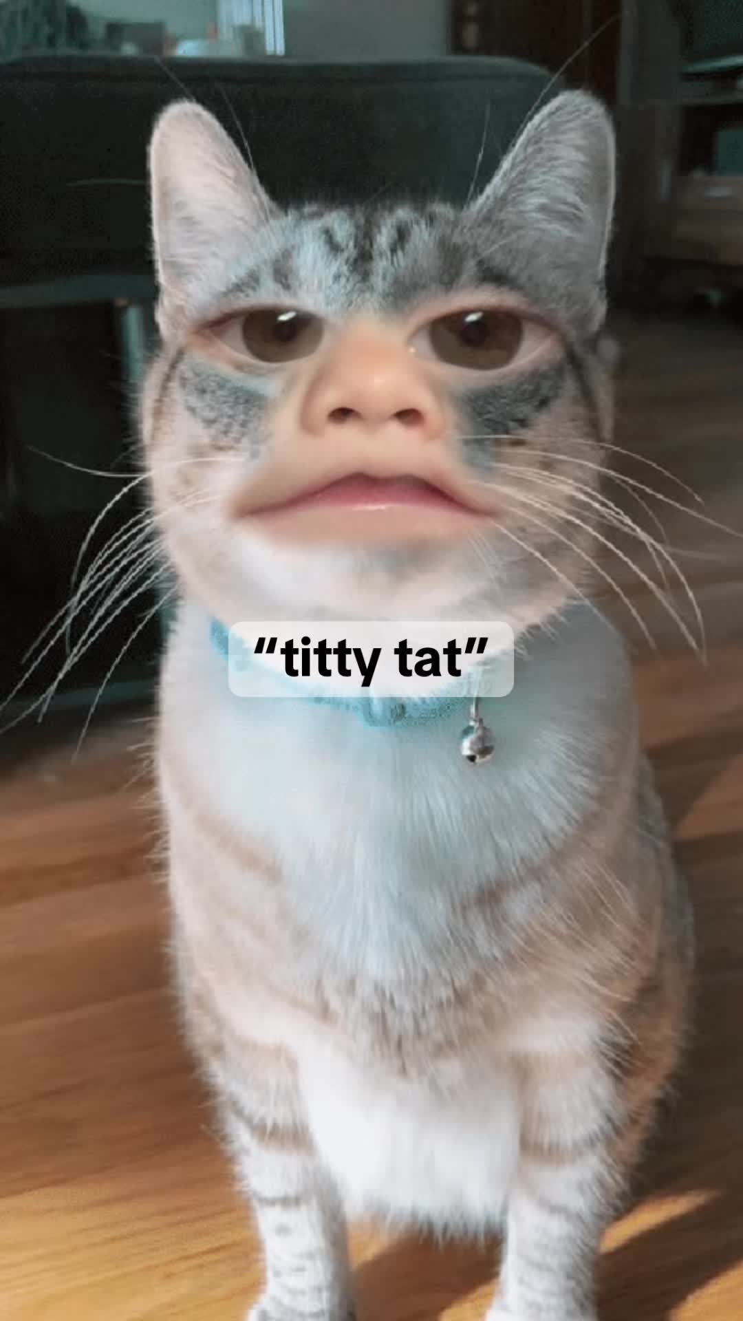 @Kaitlyn Mattson