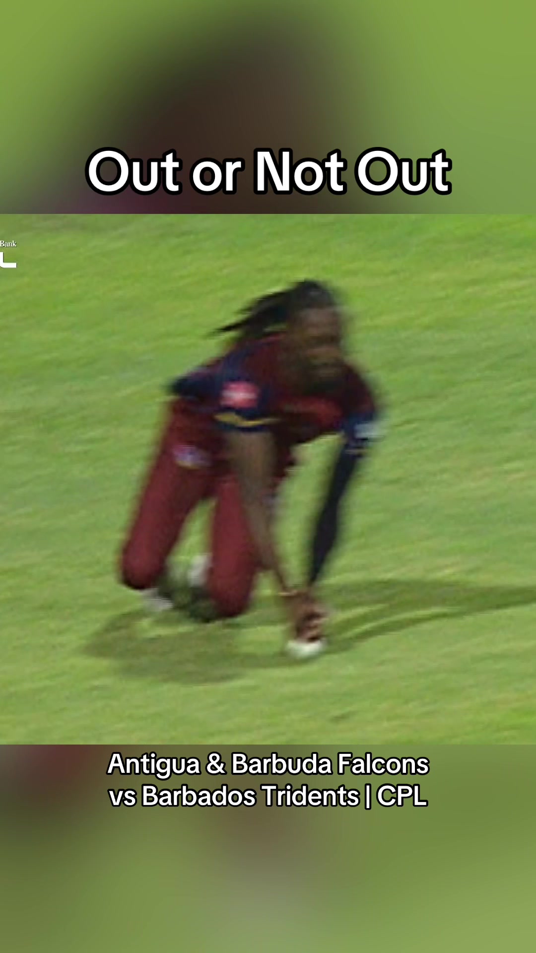 @That's Cricket
