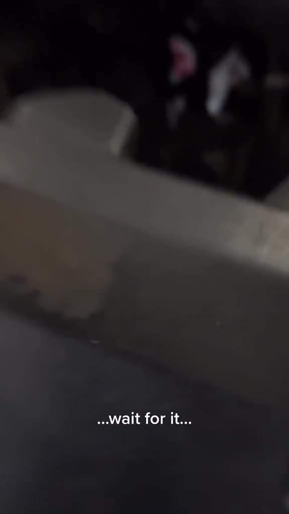 @1wide_1ton