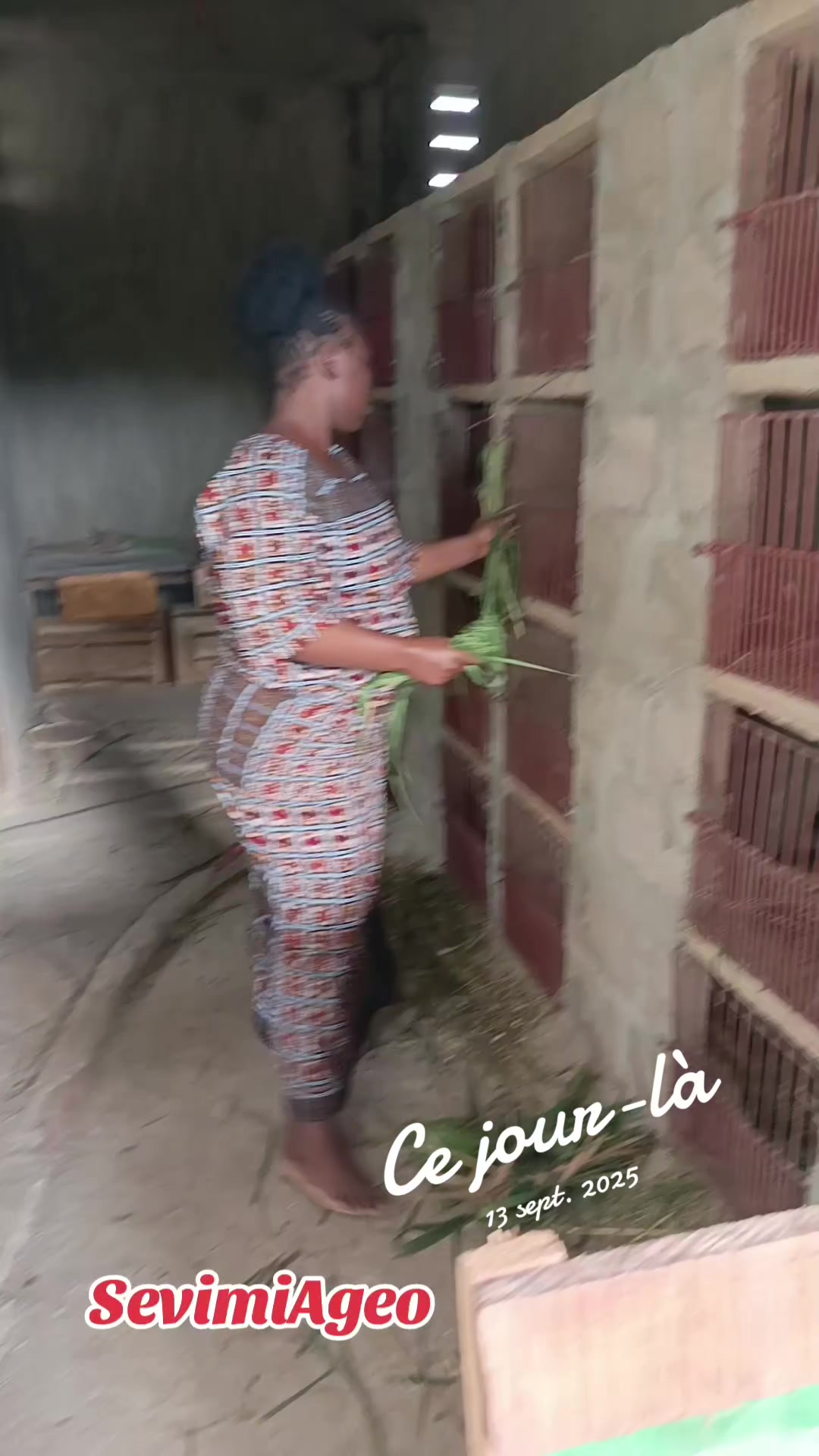 @SEVIMIAGRO2