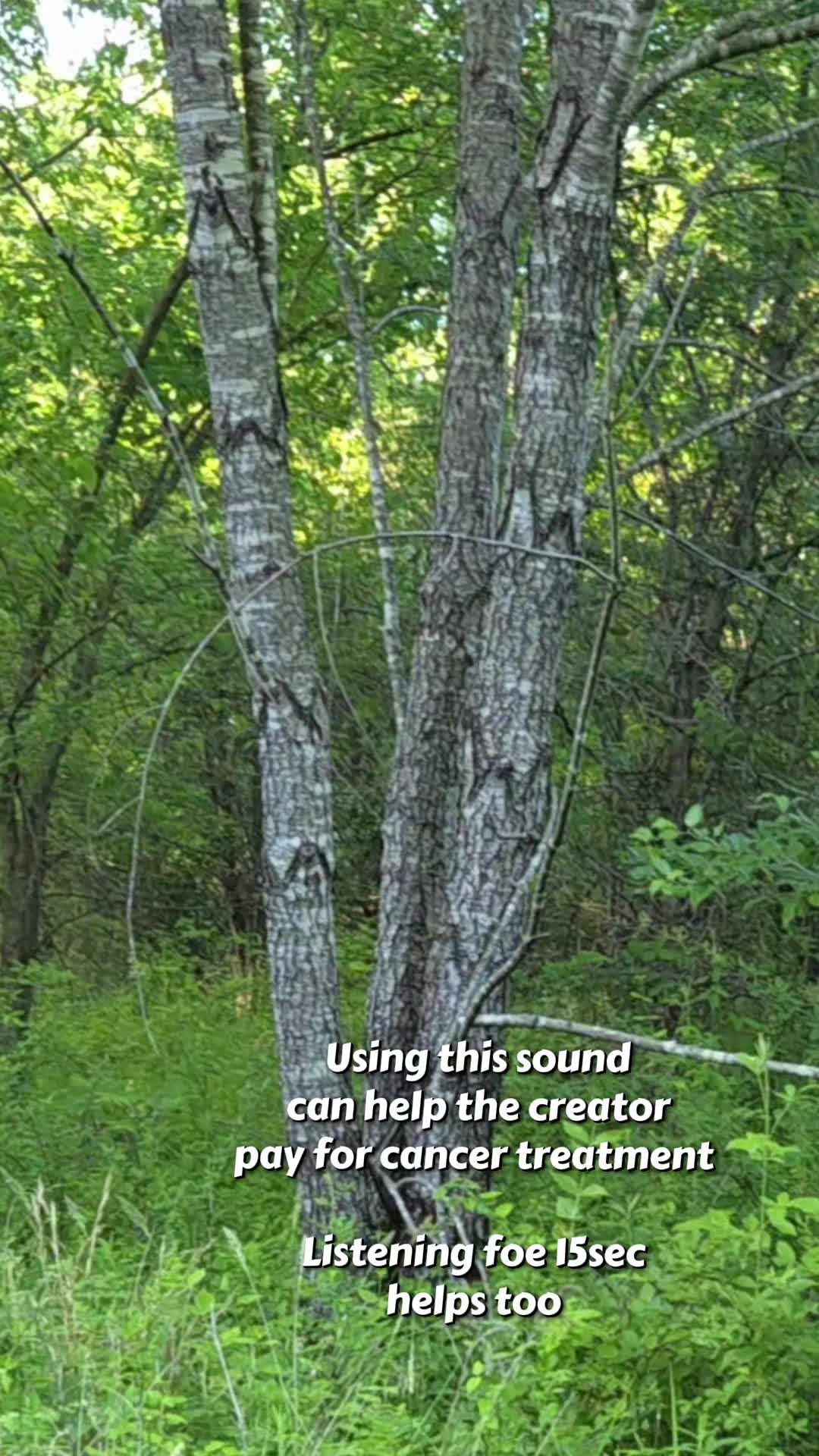 @EvilFrog33
