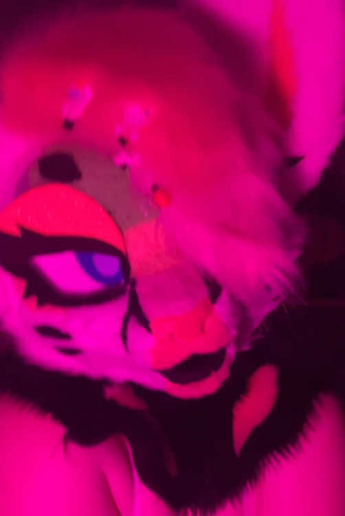 @Liger~Liger🐾🍉->FSC 26!!!