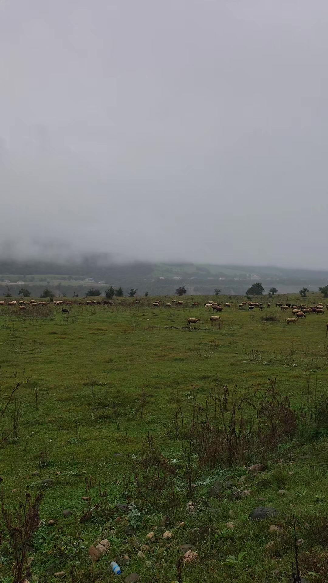 @Fikrət Hüseynov